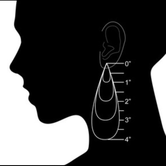 1 LEFT🎁🎅🏼🐈⬛ SILVER-TONE METAL CHRISTMAS KITTY CAT w/SANTA HAT HOOK EARRINGS - Picture 3 of 4